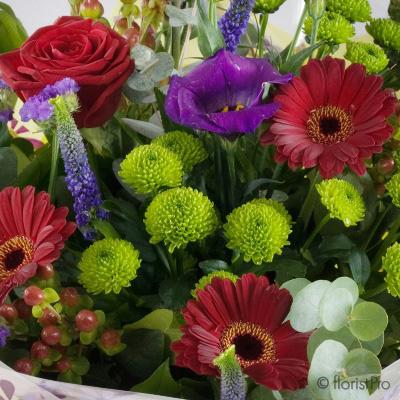 Florist Choice Reds, Green & Purple